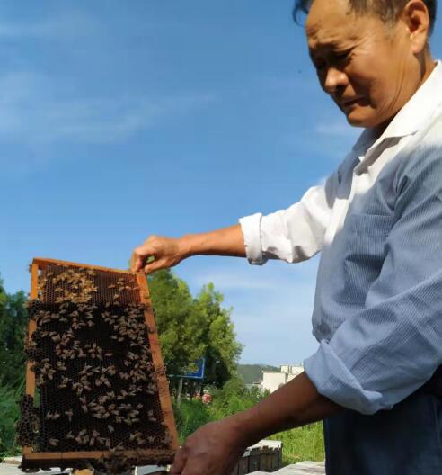 余天和 荣获由历晨网络科技主办“