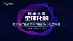 西岸社区-全球化数字资产投资策略