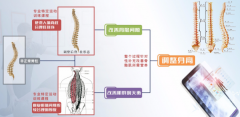 奈普特（Nipute）助长：为什么现代